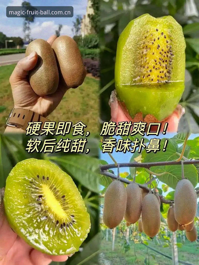 揭秘奇异果体育平台：线上买球平台推荐怎么下载背后的完整指南与真相